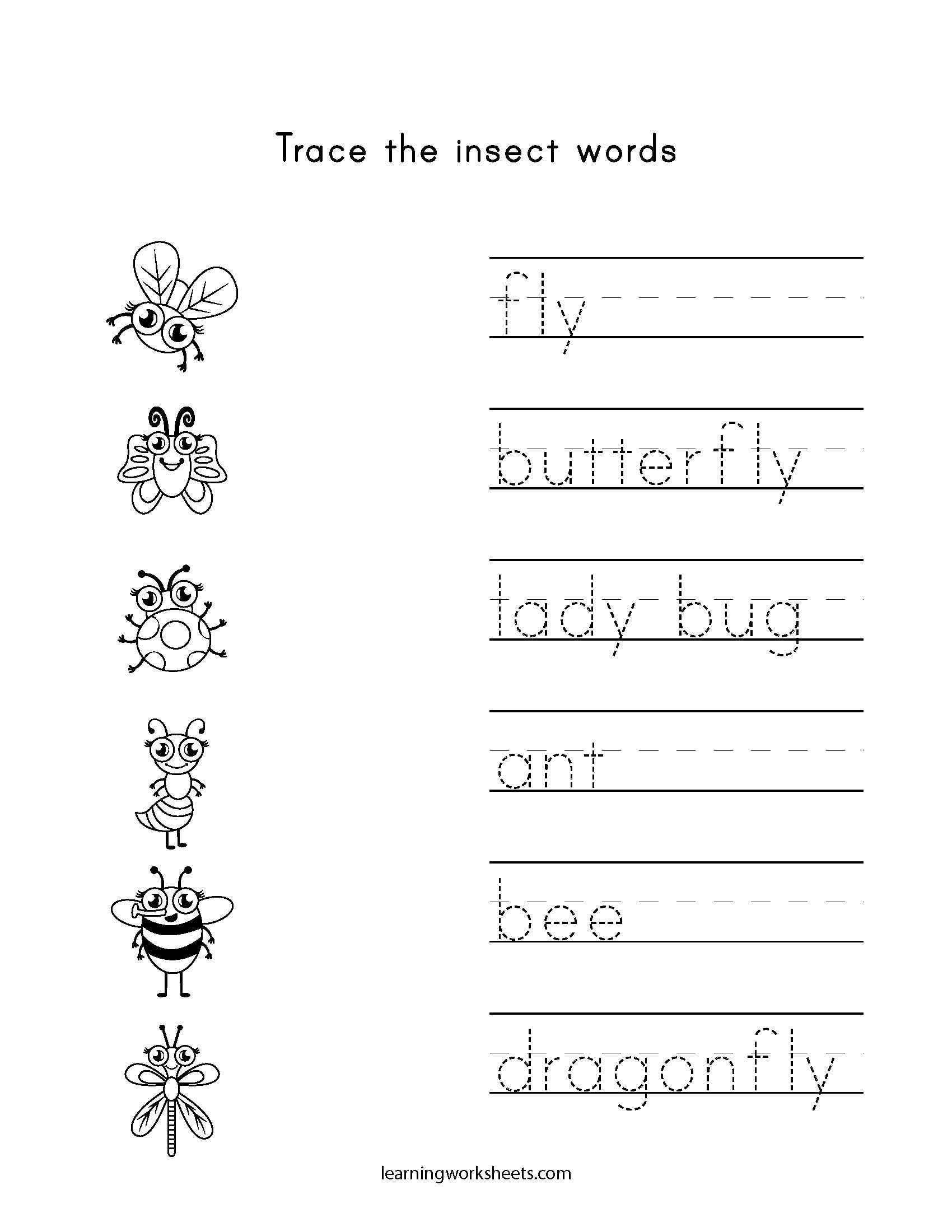 trace-the-insect-words-learning-worksheets-insects