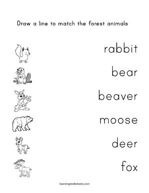 Draw a line to match the forest animals - learning worksheets Forest Animals