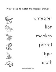 Circle the correct tropical animals - learning worksheets Tropical Animals