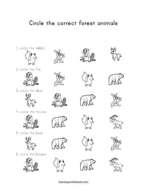 Circle the correct forest animals - learning worksheets Forest Animals