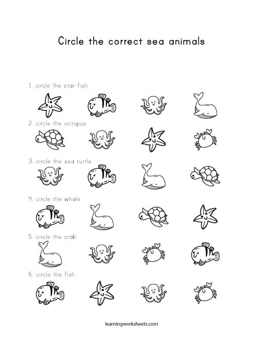 Circle the correct sea animals - learning worksheets Sea Animals