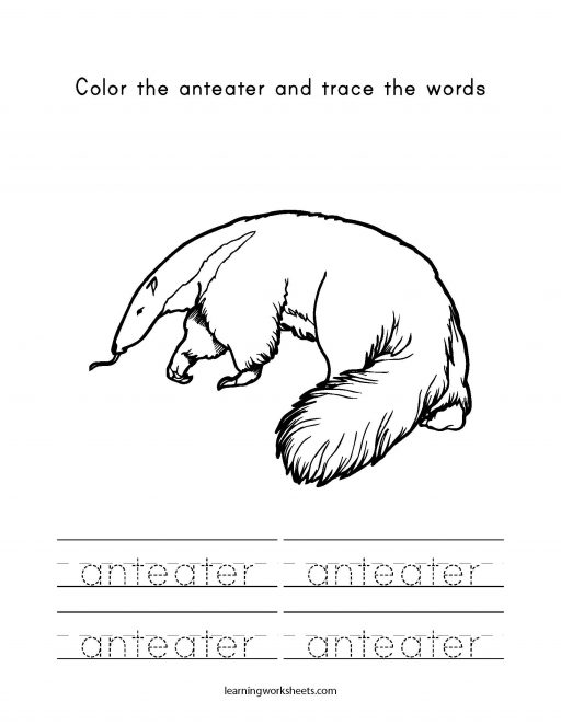 color and trace anteater