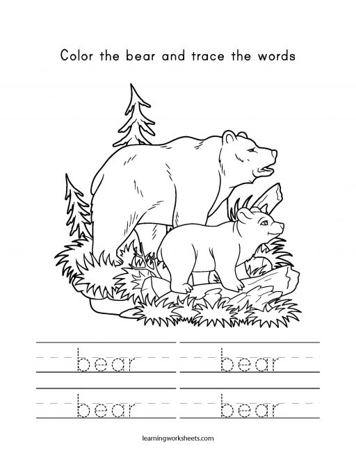 color and trace bear