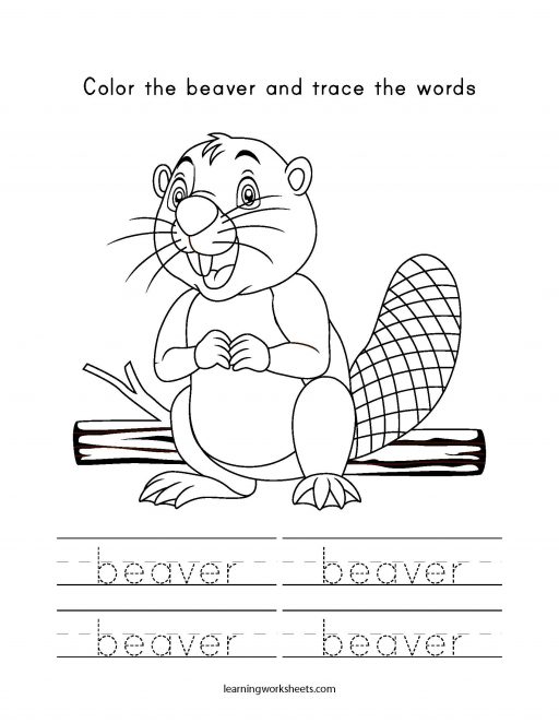 color and trace beaver