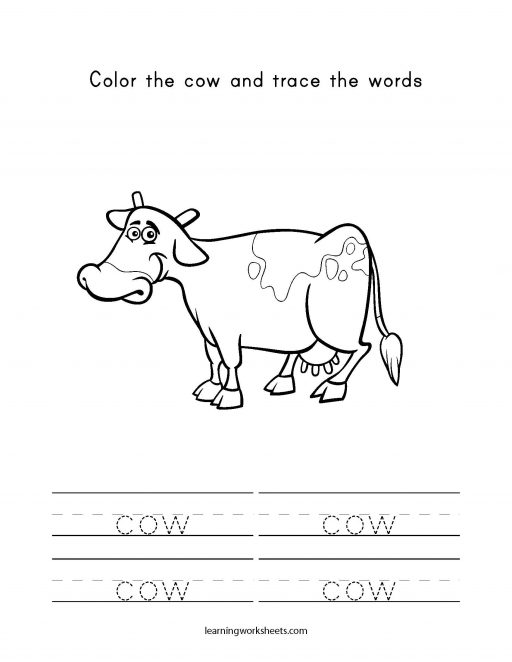 color and trace cow