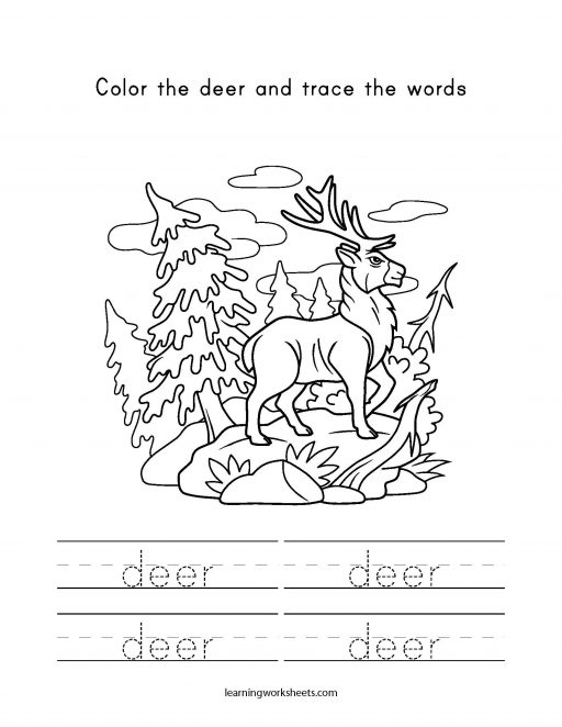 Color the deer and trace the words - learning worksheets