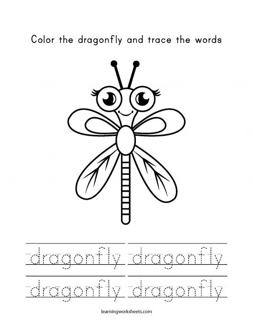 Color the dragonfly and trace the words - learning worksheets Insects