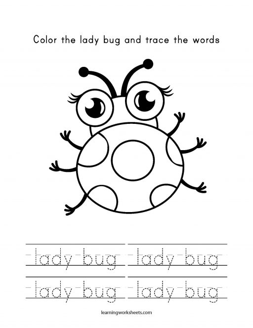 color and trace lady bug