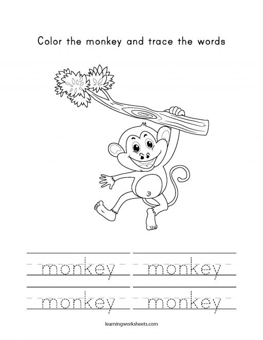 color and trace monkey