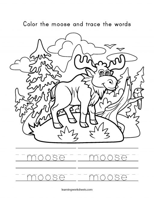 color and trace moose