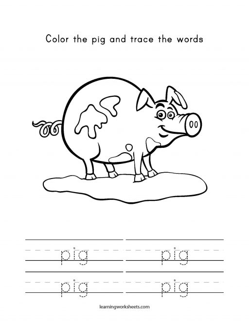 color and trace pig