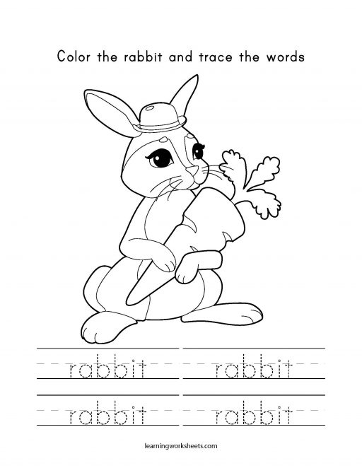 color and trace rabbit