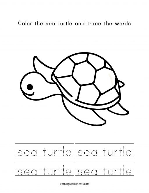 color and trace sea turtle