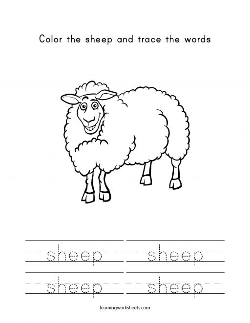 color and trace sheep