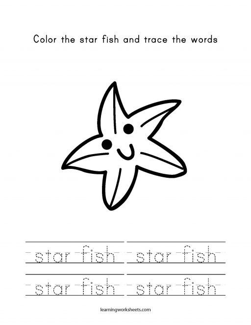 color and trace star fish
