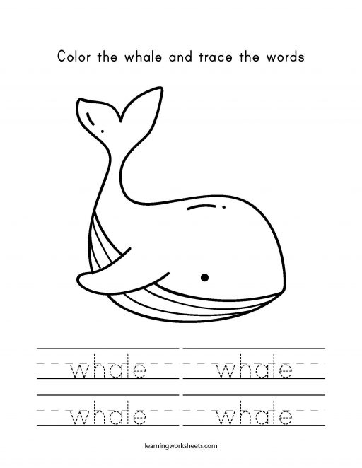 color and trace whale