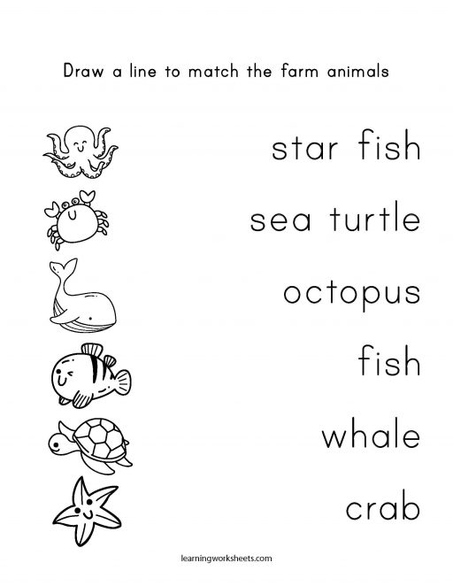 Draw a line to match the sea animals learning worksheets Sea Animals