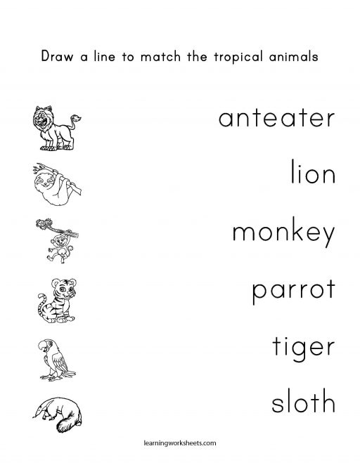 line match tropical animals