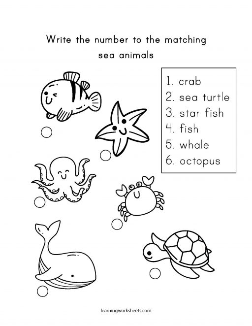 number match sea animals
