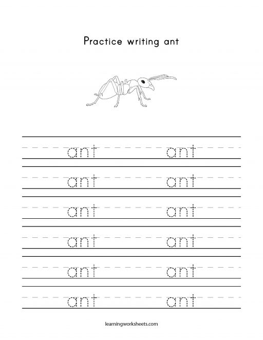 practice writing ant