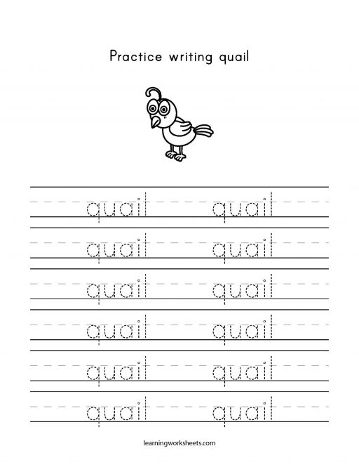 practice writing quail