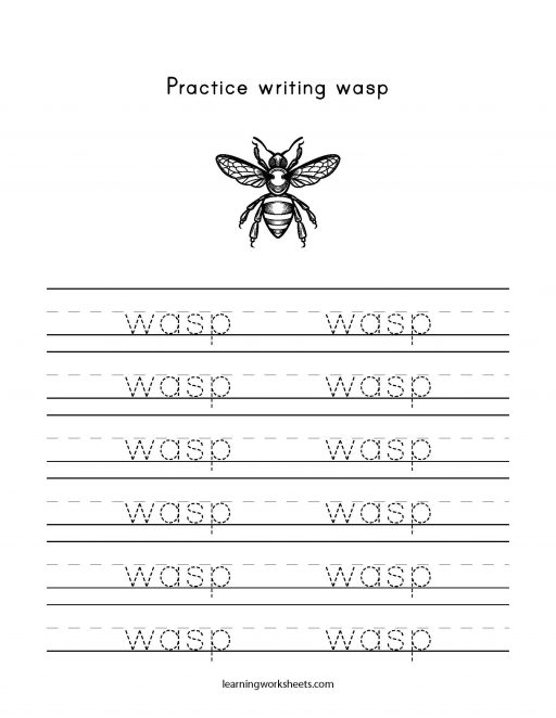 practice writing wasp