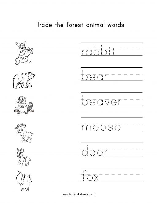Trace the forest animal words - learning worksheets Forest Animals