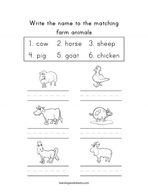 word match farm animals