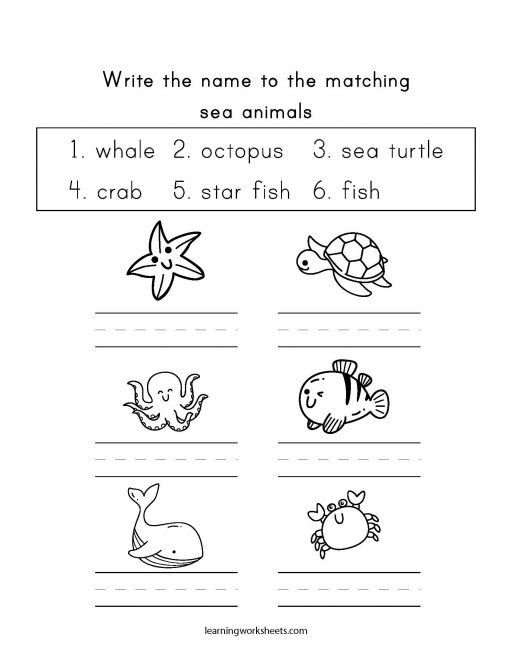 Write the name to the matching sea animals - learning worksheets Sea Animals